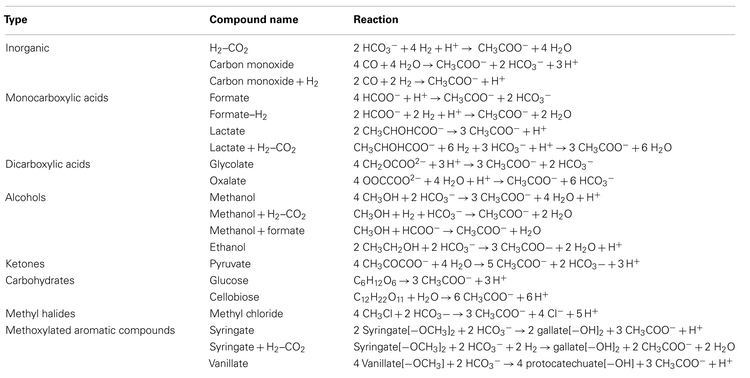 Acetogenesis wwwfrontiersinorgfilesArticles19041fmicb02