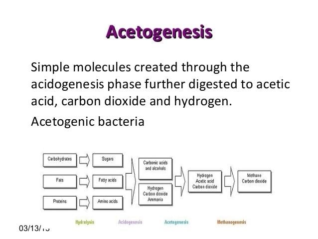 Acetogenesis Biogas