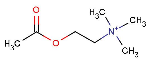 Acetylcholine Acetylcholine