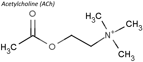 Acetylcholine Acetylcholine