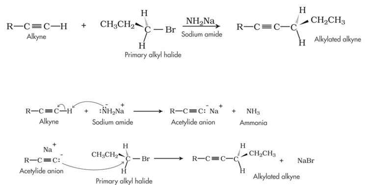 Acetylide Organic Mechanisms with Biochem Examples