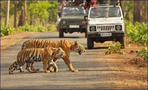 Achanakmar Wildlife Sanctuary ACHANAKMAR WILDLIFE SANCTUARY Bhaarat darshan