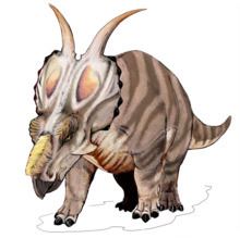 Achelousaurus httpsuploadwikimediaorgwikipediacommonsthu