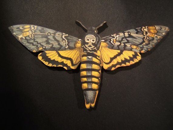 Acherontia atropos 1000 images about Papillon on Pinterest Brooches Soft sculpture
