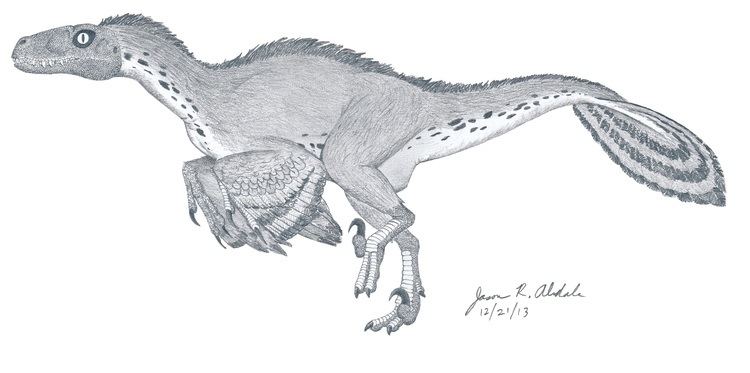 Acheroraptor Acheroraptor A new raptor dinosaur from the Hell Creek Formation