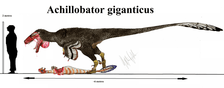 Achillobator Achillobator giganticus by Teratophoneus on DeviantArt