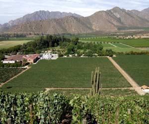 Aconcagua (wine region) f1winesearchernetimagesregionaconcaguavalle