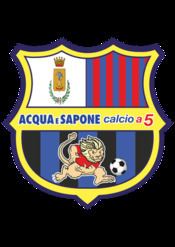 Acqua e Sapone Calcio a 5 httpsuploadwikimediaorgwikipediaenthumbe