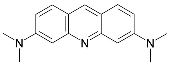 Acridine orange Lysosomal Stability Assay BIOPROTOCOL