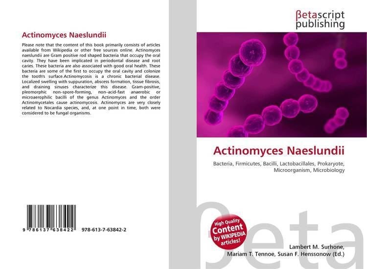 Actinomyces naeslundii Search results for quotActinomycesquot