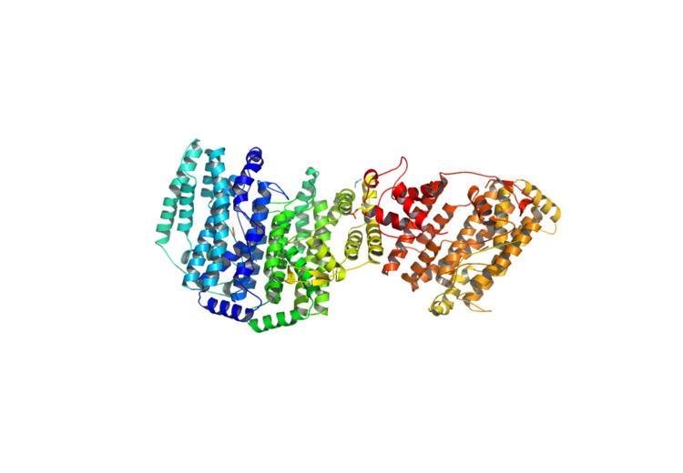 Acyl-(acyl-carrier-protein) desaturase