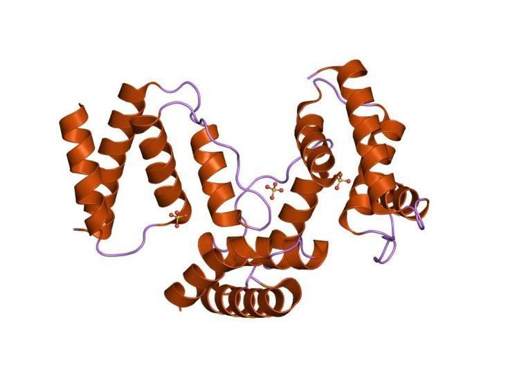 Acyl-CoA-binding protein