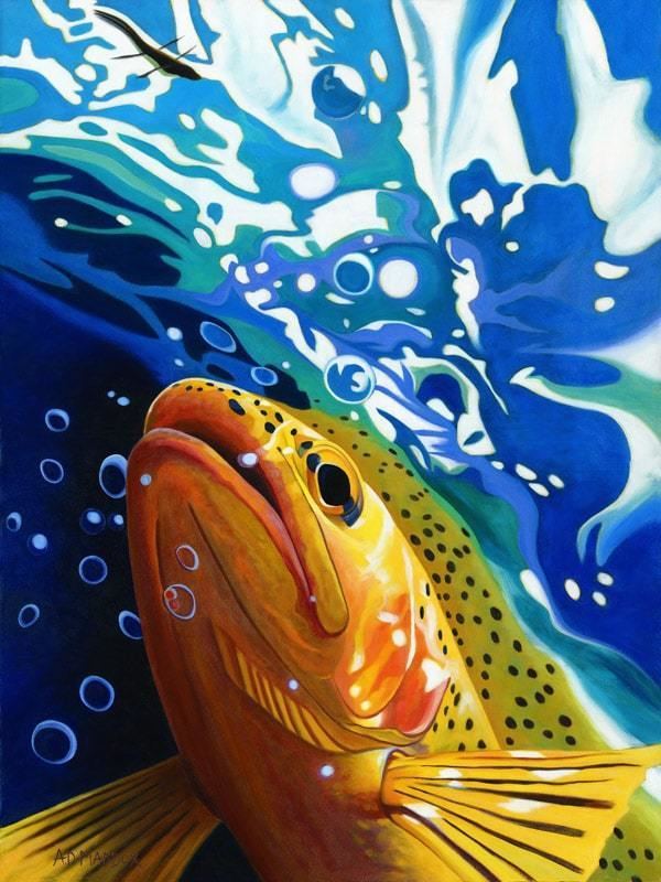 A.D. Maddox RiseSeries2Fly Fishing Art Fly Fishing Prints AD