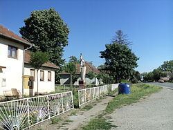 Ada, Croatia httpsuploadwikimediaorgwikipediacommonsthu