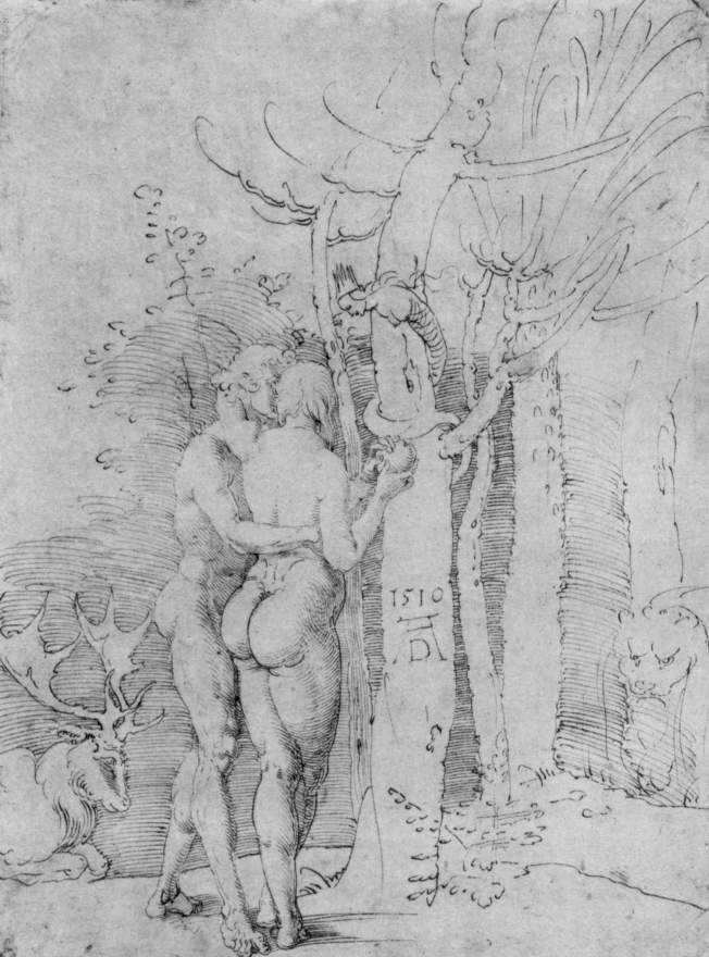 Adam and Eve (Dürer) httpsuploads2wikiartorgimagesalbrechtdurer