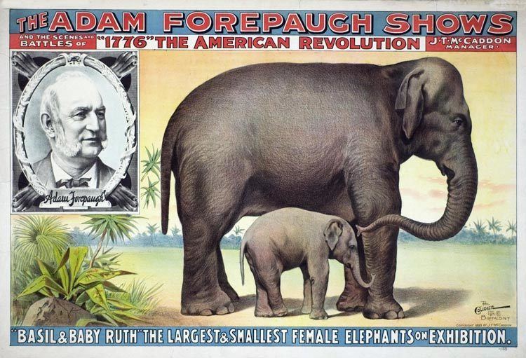 Adam Forepaugh Topsy the Circus Elephant Part 2
