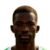 Adama François Sene futheadcursecdncomstaticimg15players194952png