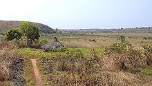 Adamawa Plateau httpsuploadwikimediaorgwikipediacommonsthu