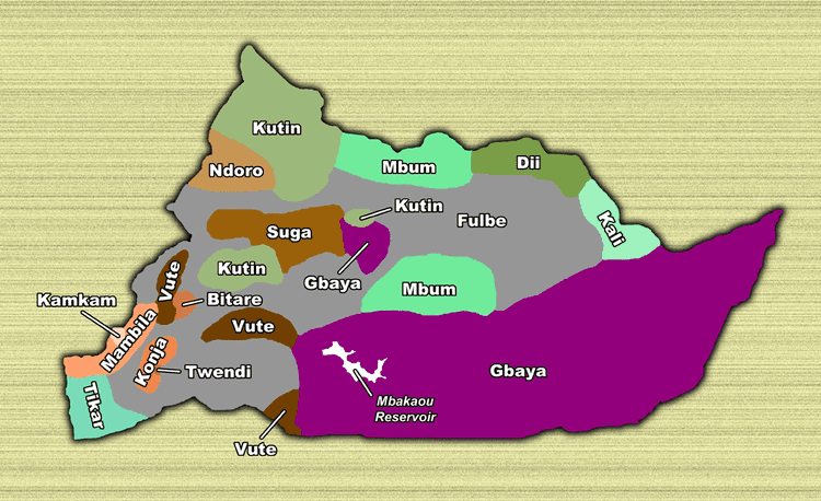 Adamawa Region in the past, History of Adamawa Region