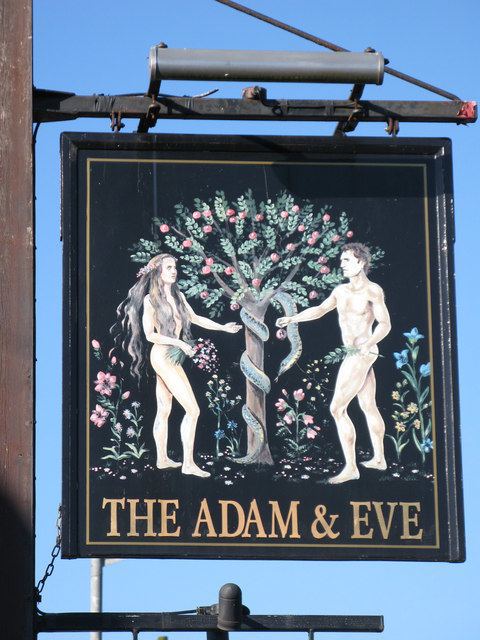 Adam's ale