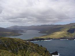 Adams Island, New Zealand httpsuploadwikimediaorgwikipediacommonsthu