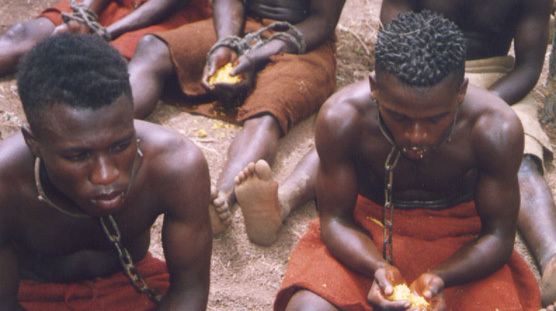 Adanggaman Adanggaman African Film Festival Inc