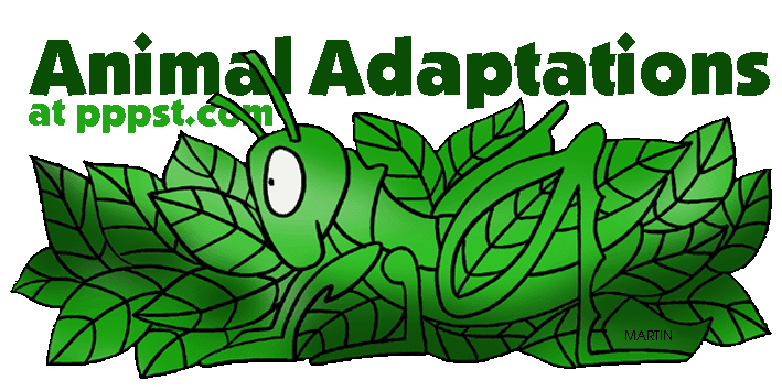 Adaptation Free PowerPoint Presentations about Animal Adaptations for Kids