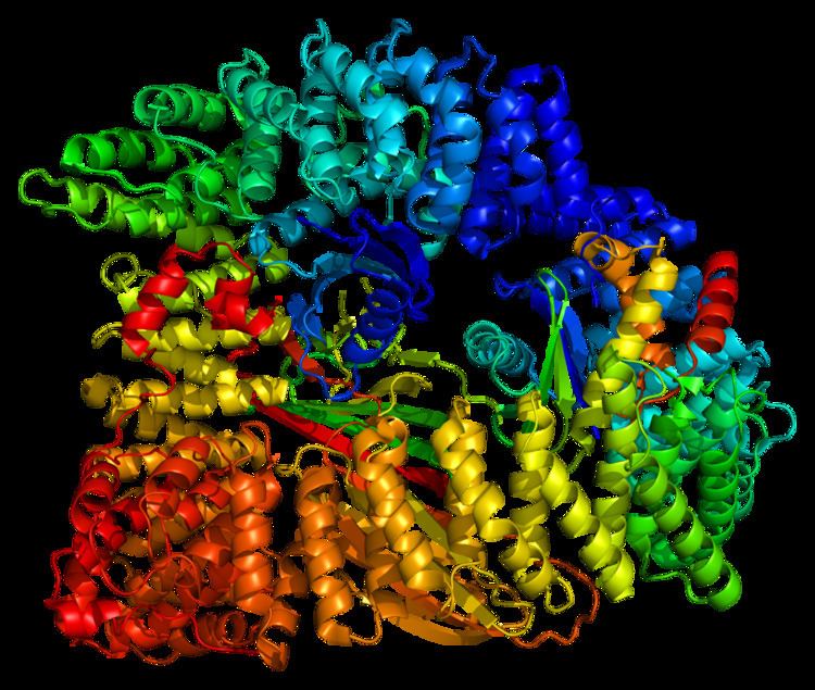 Adaptor-related protein complex 2, alpha 1