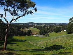 Adelaide Hills wine region httpsuploadwikimediaorgwikipediacommonsthu