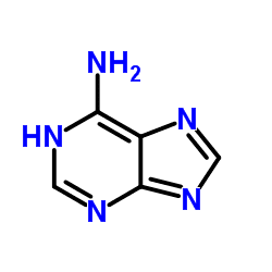 Adenine Adenine C5H5N5 ChemSpider