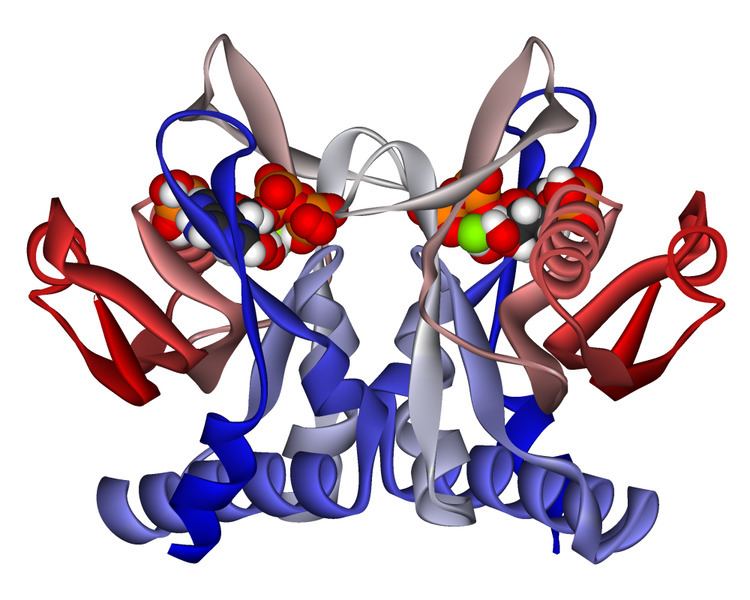 Adenine phosphoribosyltransferase