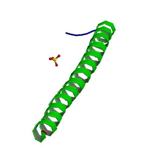 Adenomatous polyposis coli