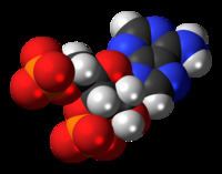 Adenosine 3',5'-bisphosphate httpsuploadwikimediaorgwikipediacommonsthu