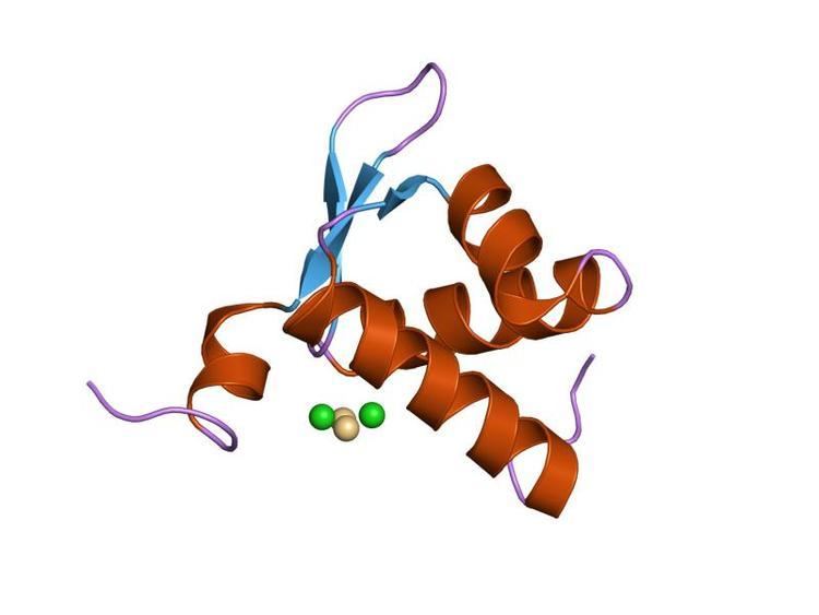 Adenosine deaminase z-alpha domain
