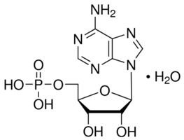 Adenosine monophosphate Adenosine 5monophosphate monohydrate from yeast 97 SigmaAldrich