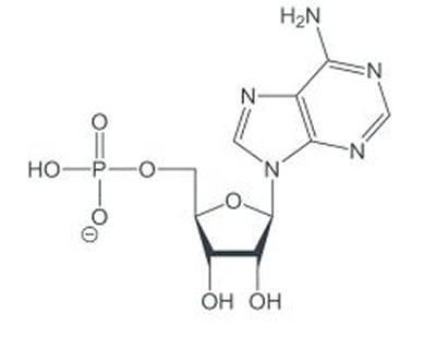 Adenosine monophosphate Adenosine monophosphate The NMR Spectroscopy Facility University