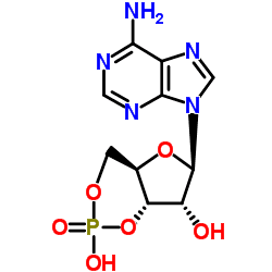 Adenosine monophosphate Adenosine cyclic 339539monophosphate C10H12N5O6P ChemSpider