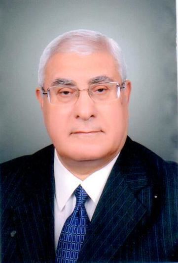 Adly Mansour Who Is Adly Mansour Egypt39s New Interim President