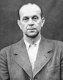 Adolf Pokorny httpsuploadwikimediaorgwikipediacommonsthu