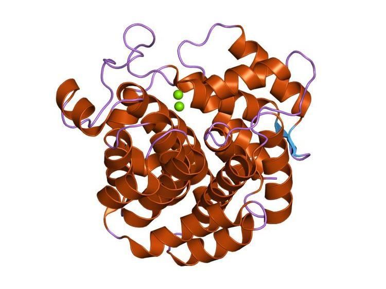 ADP-ribosylglycohydrolase