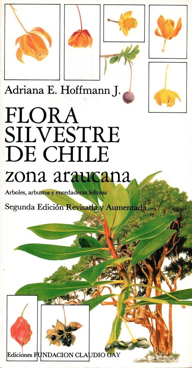 Adriana Hoffmann Flora Silvestre de Chile Zona Araucana Arboles arbustos y
