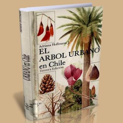 Adriana Hoffmann GLibros Biblioteca Virtual Descarga de libros gratis El Arbol