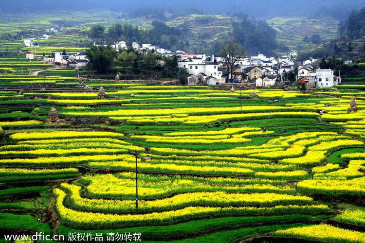 Agri Province Beautiful Landscapes of Agri Province