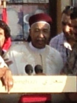 Ahmed al-Senussi
