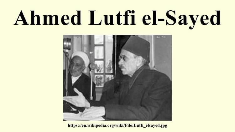 Ahmed Lutfi el-Sayed Ahmed Lutfi elSayed YouTube