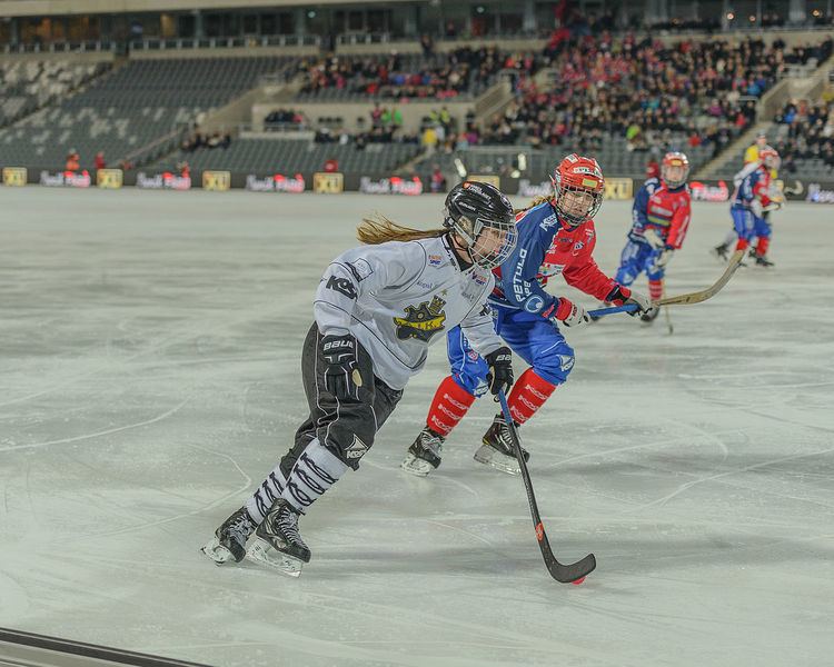 AIK Bandy