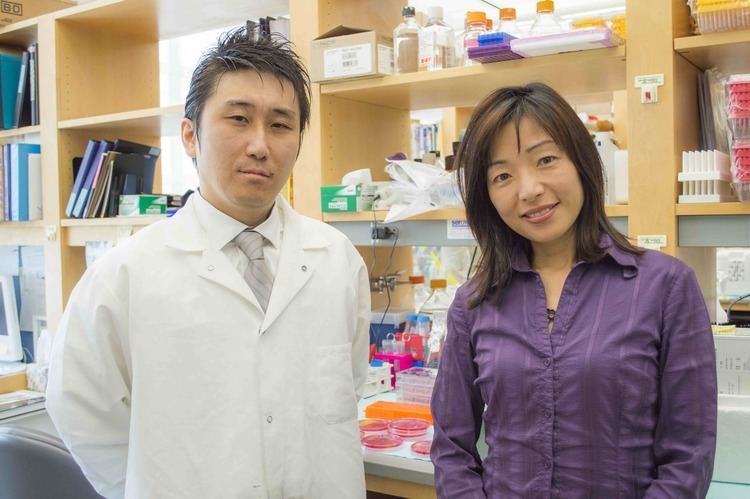 Akiko Iwasaki Local Macrophage Chemokine Sustain Protective CD4 T Cells Society