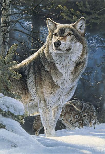 Al Agnew 90 best Artist Al Agnew images on Pinterest Bass Wildlife art