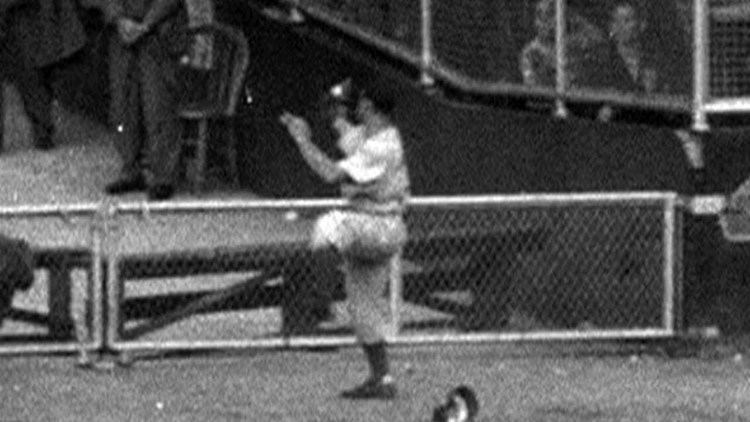 Al Gionfriddo 1947 WS Gm6 Al Gionfriddo robs Joe DiMaggio of homer