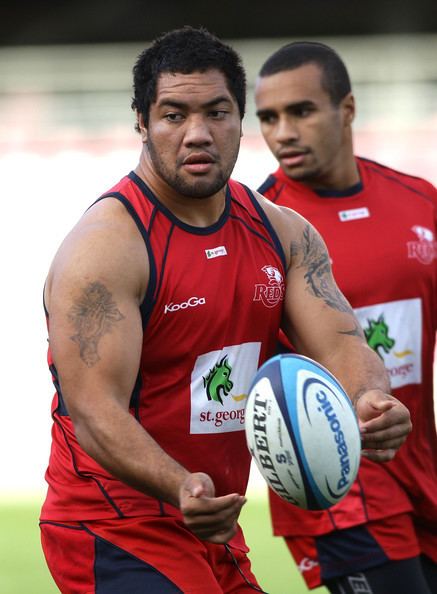 Albert Anae Albert Anae Photos Queensland Reds Training Session Zimbio